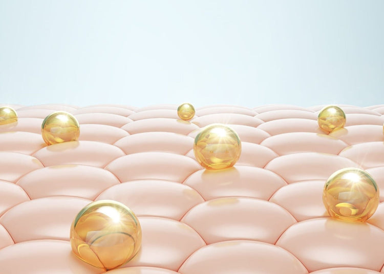 What’s the Deal With Ceramides?