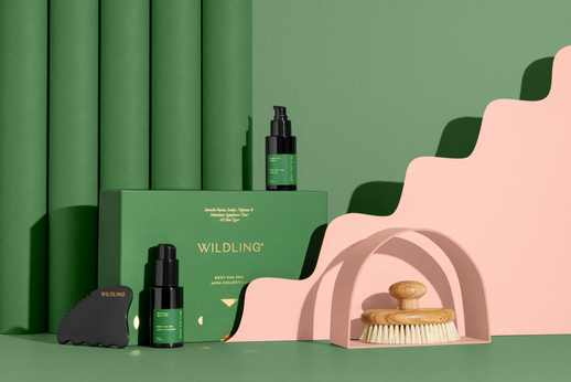 An Overview of the Aura Collection