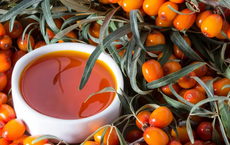 Sea Buckthorn Oil: The Powerful Skin Ally You Need