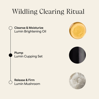 Lumin Cupping Set
